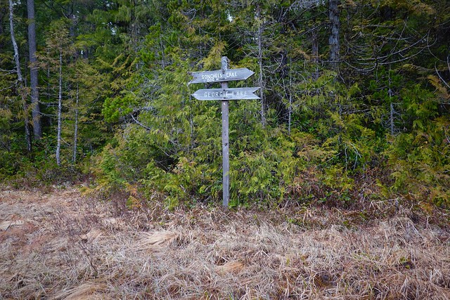 Direction signs SR601311