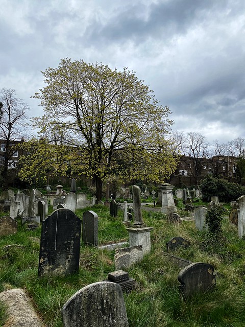 A walk around Brompton Cemetery