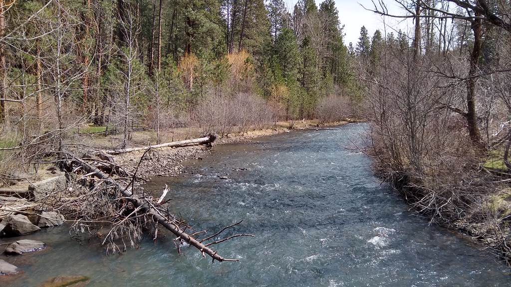 Salmon Run Trail