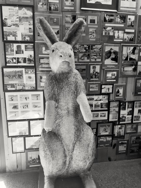 Extremely realistic stuffed hare