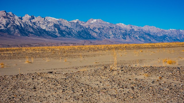 Mojave meets the Sierras - near Lone Pine, California
