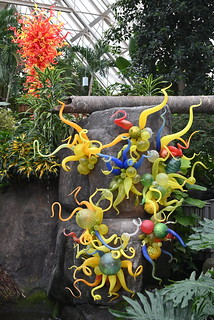 Dale Chihuly Glass Artwork on display at the Franklin Park Conservatory, Columbus, Ohio