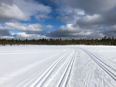 2022w13 Xc-skiing tracks are in good condition