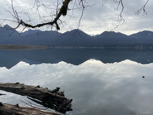 Lake Quinault from July Creek