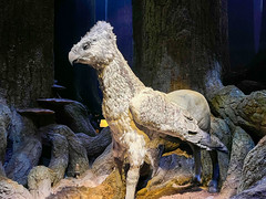 Photo 18 of 25 in the Warner Bros Studio Tour London - The Making of Harry Potter (24th Mar 2022) gallery
