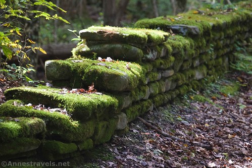 Mossy stone wall along the Big Bend Road, Letchworth State Park, New York