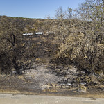 20220402-OC-LSC-0141 The point of ignition for the Das Goat Fire, south of Medina Lake and West of San Antonio, TX, on April 2, 2022.  The point of ignition was a disabled vehicle that pulled off of County Road 271 and caught fire.  The fire proceeded to the north and northeast. The fire is now 100 percent contained and consumed 1,092 Acres of grass and shrubs.  U.S. Department of Agriculture USDA Forest Service FS wildland hotshot firefighters from California were are on the hillside to check for and put out hotspots in remaining embers of burnt trees and brush.  The car was completely burned, leaving bits of charred tires, metal pieces, and two large pieces of aluminum metal melted from the wheels, then pooled and solidified under the car.  
USDA Courtesy by Lance Cheung.