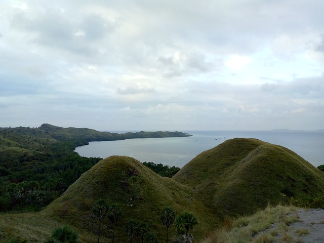 Love hills at Labuan Bajo looking into Flores Sea, a teletubbies experience in real life.