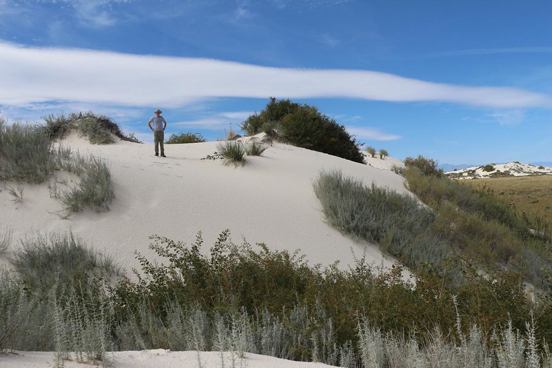 Me, standing on a white sand dune amidst native flora on the Dune Life Nature Trail in White Sands National Park
