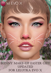 Bunny Make-Up Easter Gift (Evo X Update)