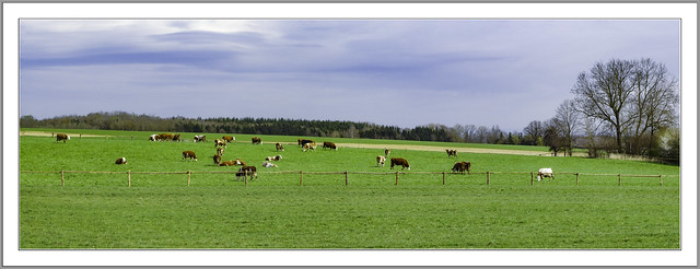 5. April 2022, der Frühling lässt sich noch Zeit. Vor zwei Tagen nochmals geschlossene Schneedecke. Auf dem Bild genau vor einem Jahr, waren die Kühe bereits auf der Weide bei Rotthallmünster.