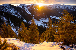 Golden Sunrise from the Alps