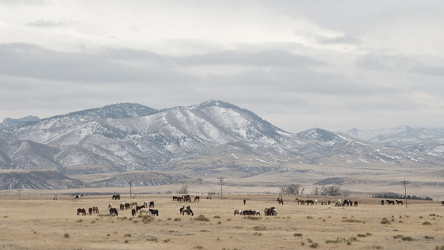USA, Southeast Wyoming - Photo #1