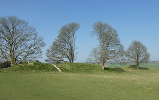 Old Sarum trees Salisbury to Amesbury via Stonehenge walk