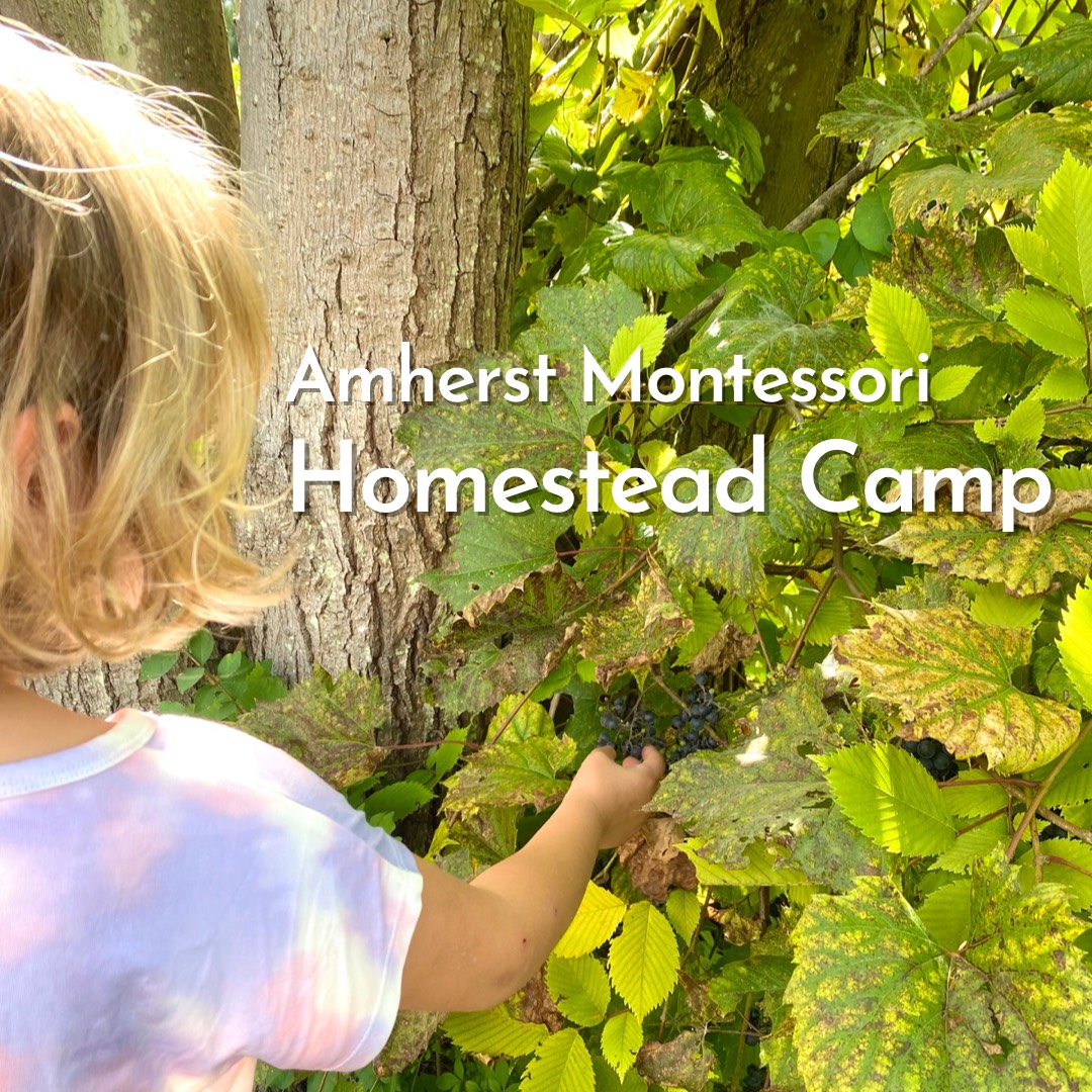 Amherst Montessori School
LEGO + Homestead Camp