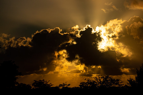 Clouds at Sunrise by Serendigity, Photographed in Wootha near Maleny in Queensland, Australia.australia queensland sunshinecoast wooth