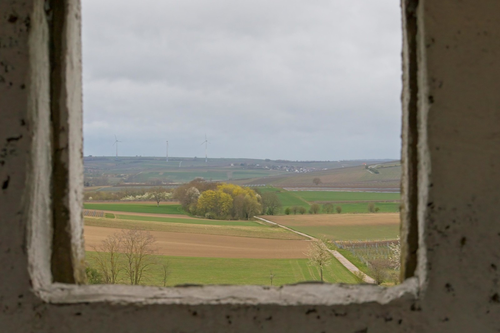 Blick aus dem Wingertsturm auf dem Nazarienberg von Mommenheim zur Bergkirche Udenheim