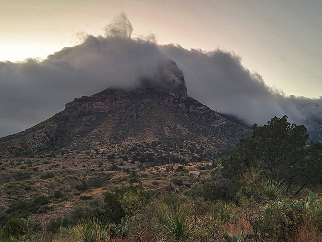 Fog in the Chisos