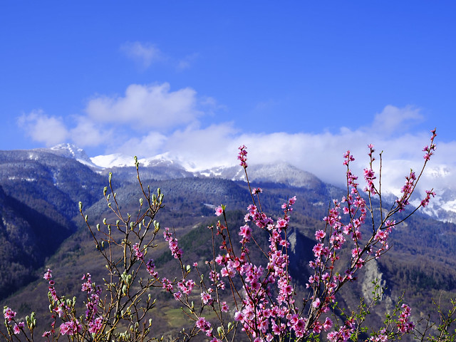 En avril, ne te découvre pas d'un fil / Till April's dead, change not a thread (Maurienne, Savoie)