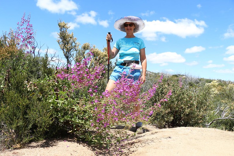 Vicki poses with some Spring flowers along the Pacific Crest Trail near Campo