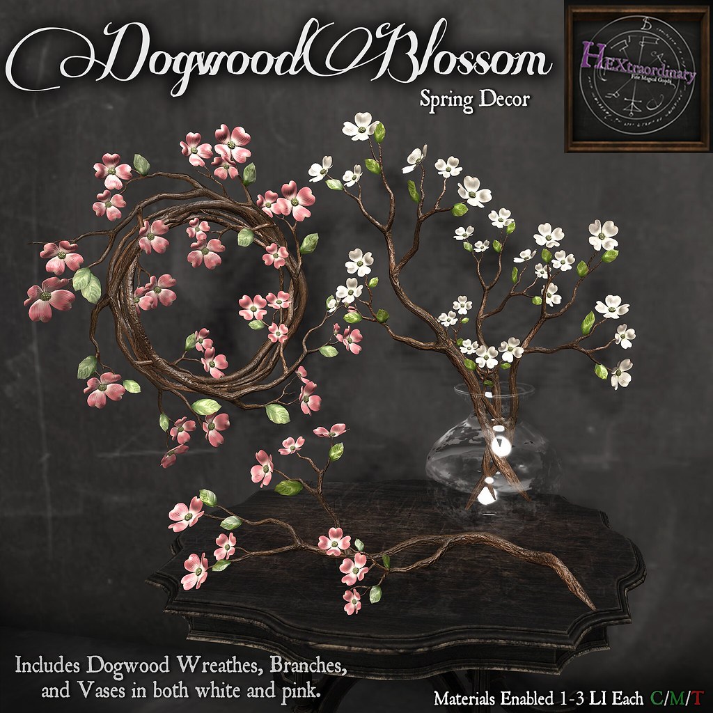 HEXtraordinary – Dogwood Blossoms for Wanderlust Weekend
