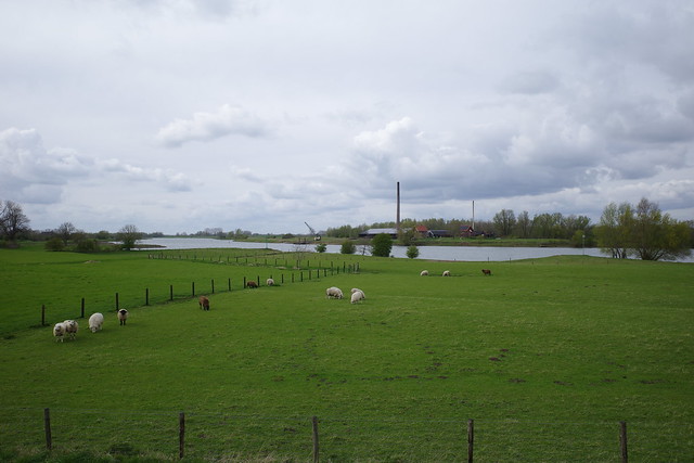 Dutch river landscape