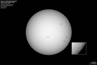 The Sun - 2022-04-08 14:20 UTC - AR2958 AR2981 AR2983 AR2985