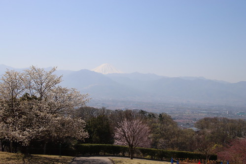 笛吹川フルーツ公園から富士を望む