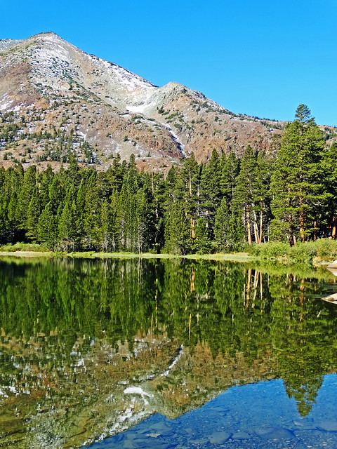 Big Valley Lake Reflection, Sierra Nevada 2019