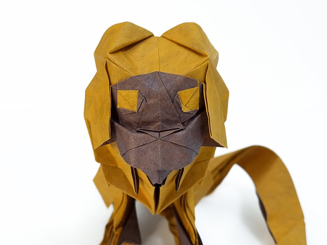 Yoo Tae Yong -Golden Lion Tamarin origami