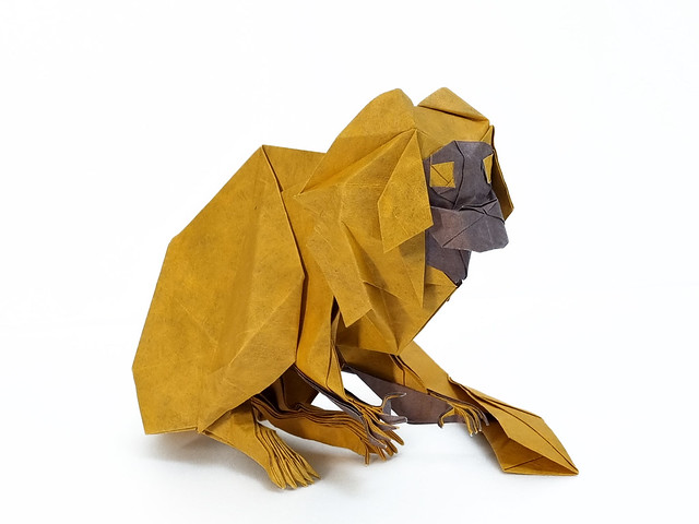 Yoo Tae Yong -Golden Lion Tamarin origami