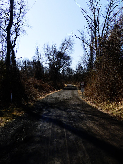 Pennypack Trail 03