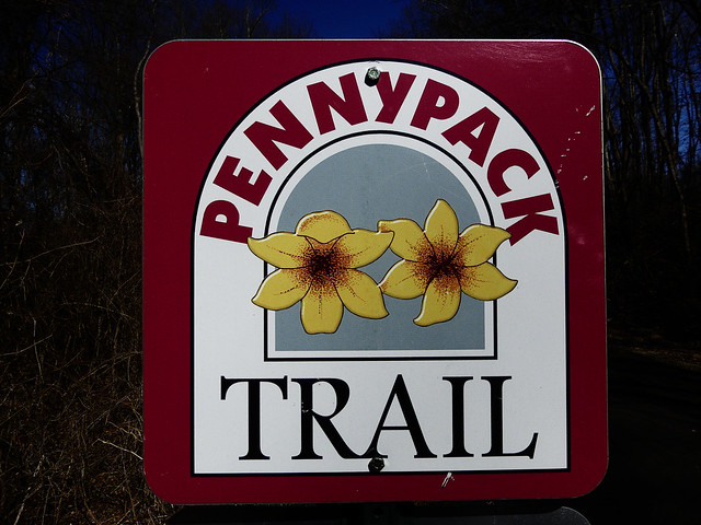 Pennypack Trail 01