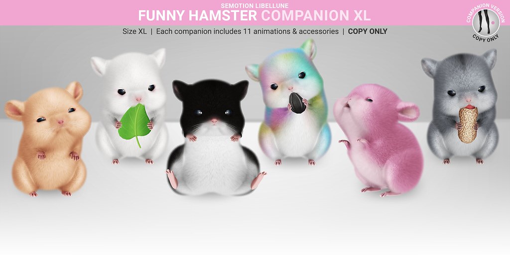 SEmotion Libellune Funny Hamster XL Companion