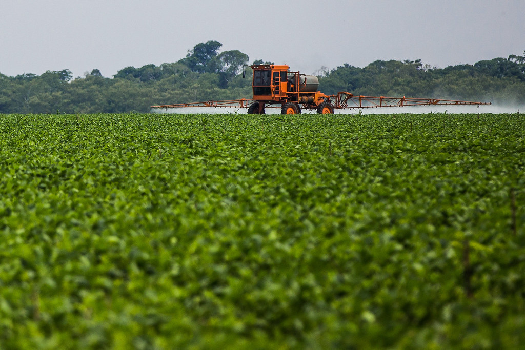 巴西的大豆種植區。圖片來源：© Bruno Kelly／Greenpeace