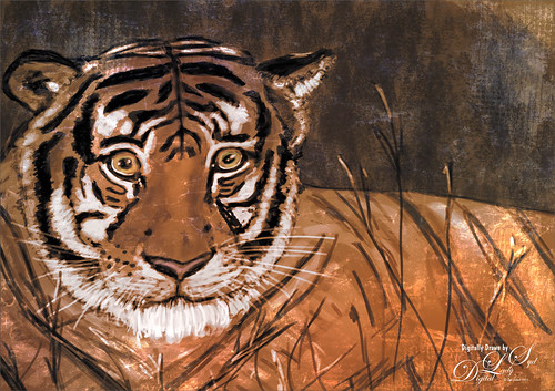 Drawn image of a Sumatran Tiger at the Jacksonville Zoo