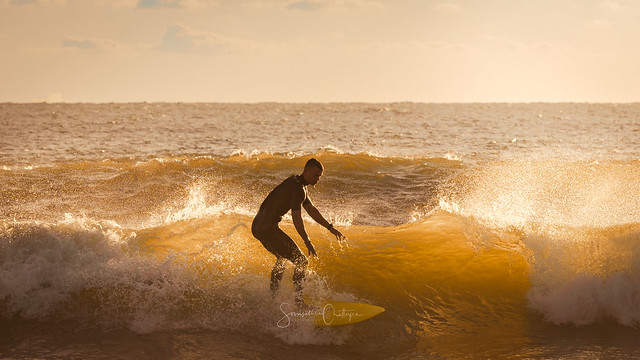 Surfer at VA Beach