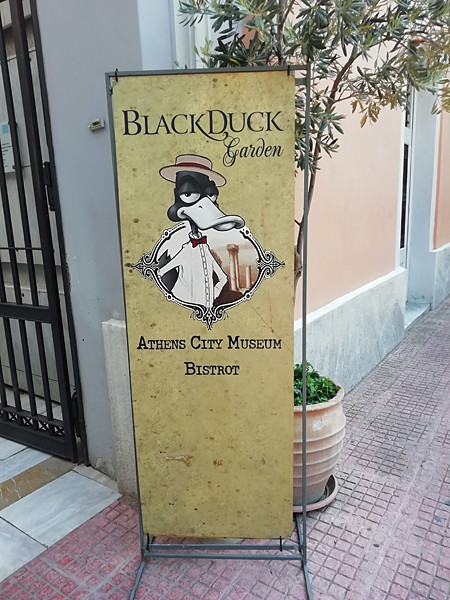 the black duck