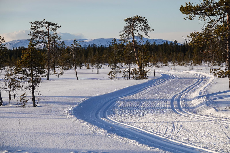 Skiing tracks