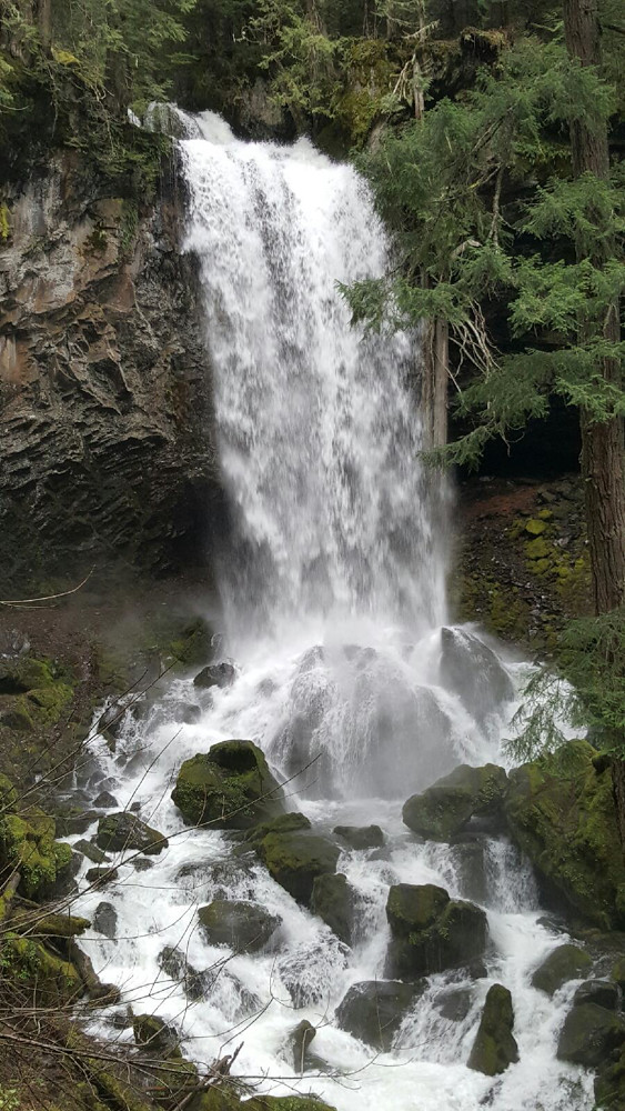Grotto Falls