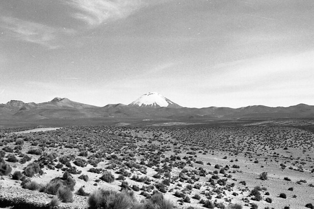 CHILE NORTE-2003 / Altiplano - De Chungara a Isluga - Ruta del altiplano