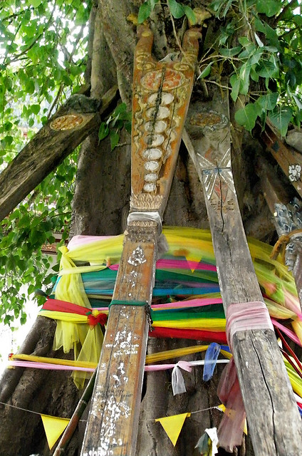 bright wrapping and wood paddles inscribed with prayers propped up against a holy Bodhi tree in Bangkok, Thailand