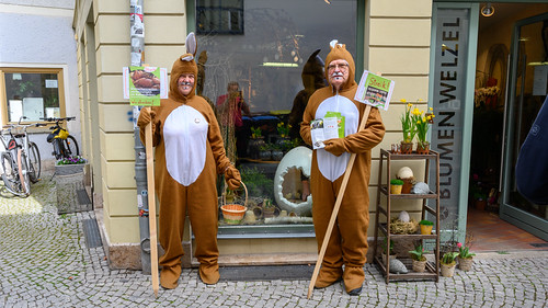 Easter bunny | by manni0656