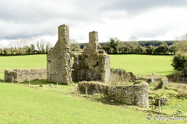 Newtown Fortified house Co. Offaly
