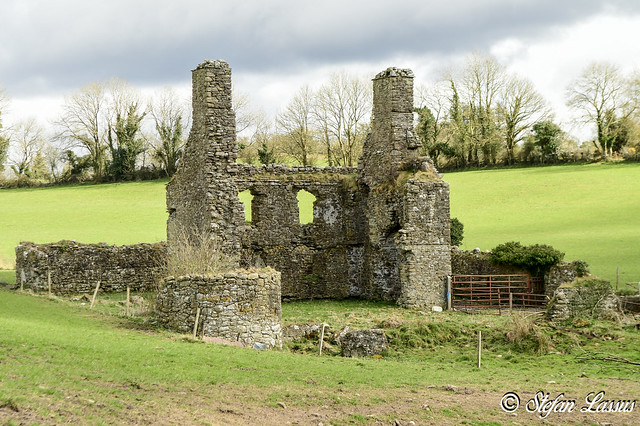 Offaly, Newtown Fortified house