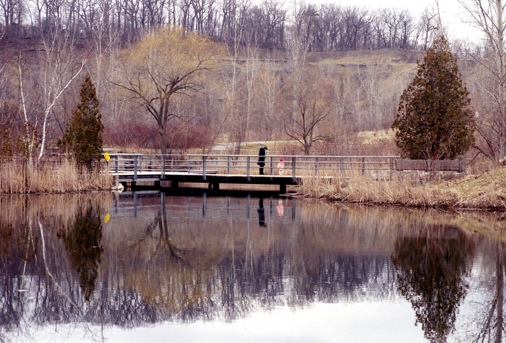 reflections in the Brickworks Pond