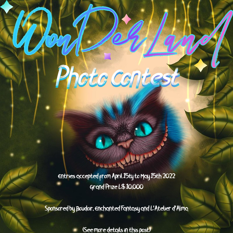 Wonderland 2.0 photo contest poster