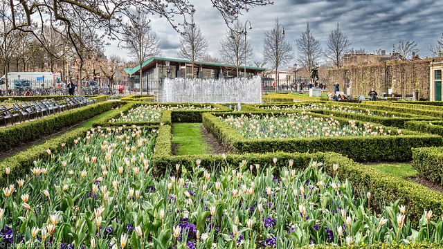 Spring in Amsterdam-