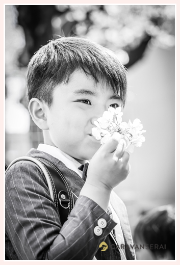 桜と小学校1年生の男の子　モノクロ写真