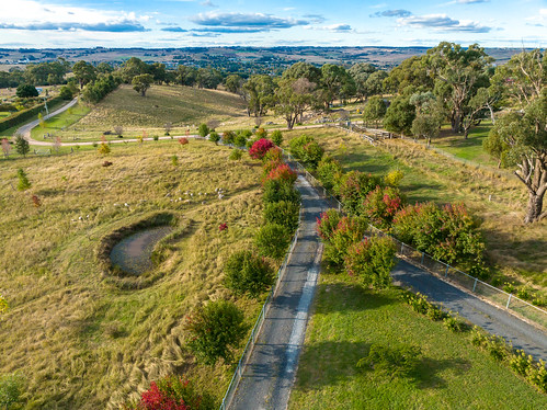 autumn landscape blayney nature australia aerial property newsouthwales clouds dam nsw scene country scenery paddocks road afternoon centralwest trees shore rural fields outdoors